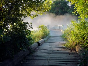 Estate Planning Funeral Choices Consumer Rights