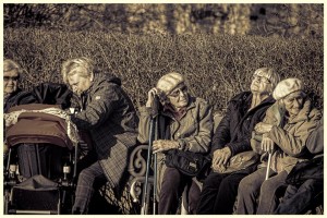Aging in place elder law new concepts Minneapolis Minnesota Attorney