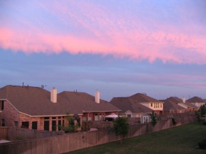 Elder Law and Estate Planning Creating your own Family