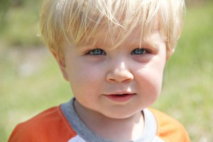 lgbt family law equal parents